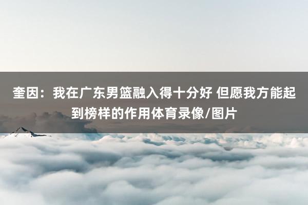 奎因：我在广东男篮融入得十分好 但愿我方能起到榜样的作用体育录像/图片