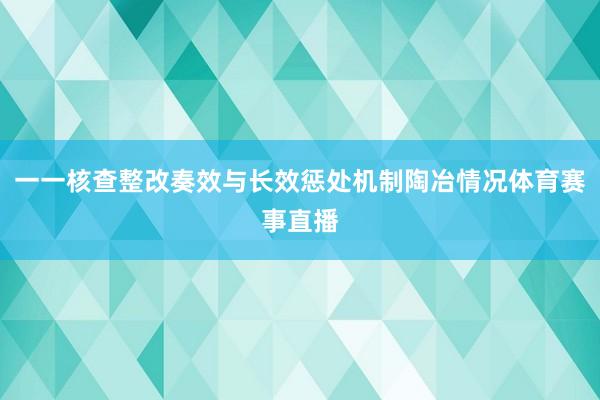 一一核查整改奏效与长效惩处机制陶冶情况体育赛事直播