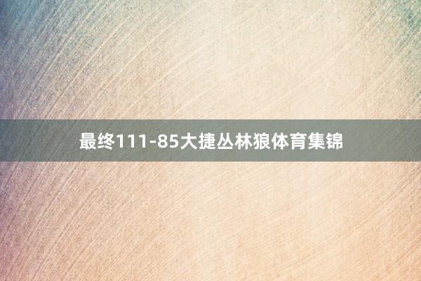 最终111-85大捷丛林狼体育集锦