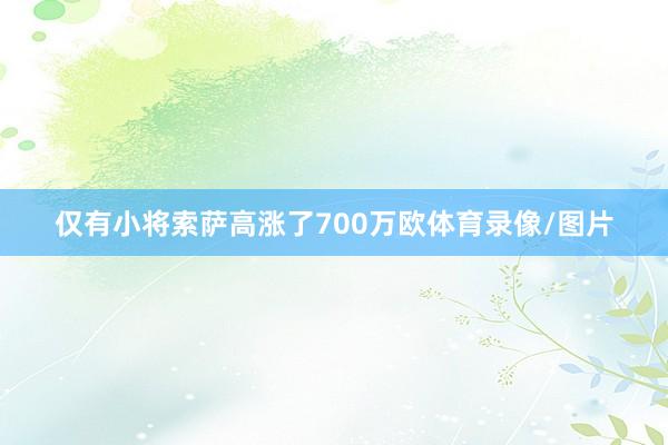 仅有小将索萨高涨了700万欧体育录像/图片