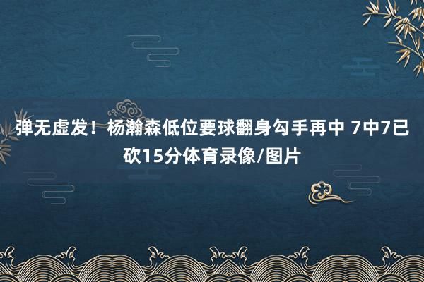 弹无虚发！杨瀚森低位要球翻身勾手再中 7中7已砍15分体育录像/图片